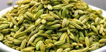 Fennel Seed Origin India Taste Sweet & Aromatic Moisture Content Max 10% Purity Machine Clean 98%/99% Certifications Us-fda, Halal, Kosher - H&R INTERNATIONAL - India